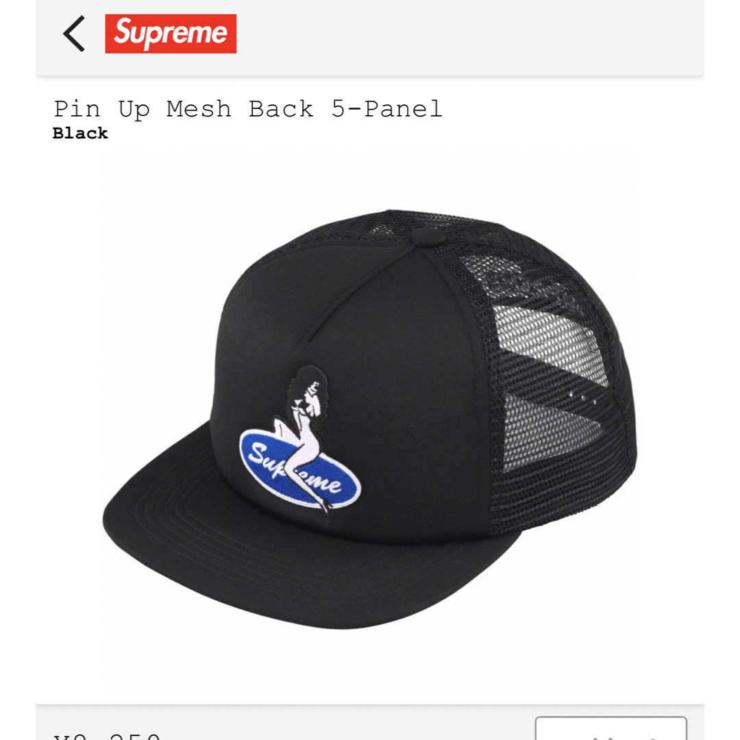 シュプリーム pin up mesh back 5-panel シュプリーム pin up mesh back 5-panel