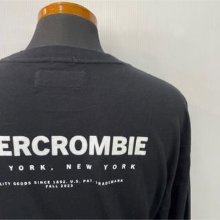 Abercrombie&Fitchアバクロ★メンズ★袖ロゴのロングスリーブＭ