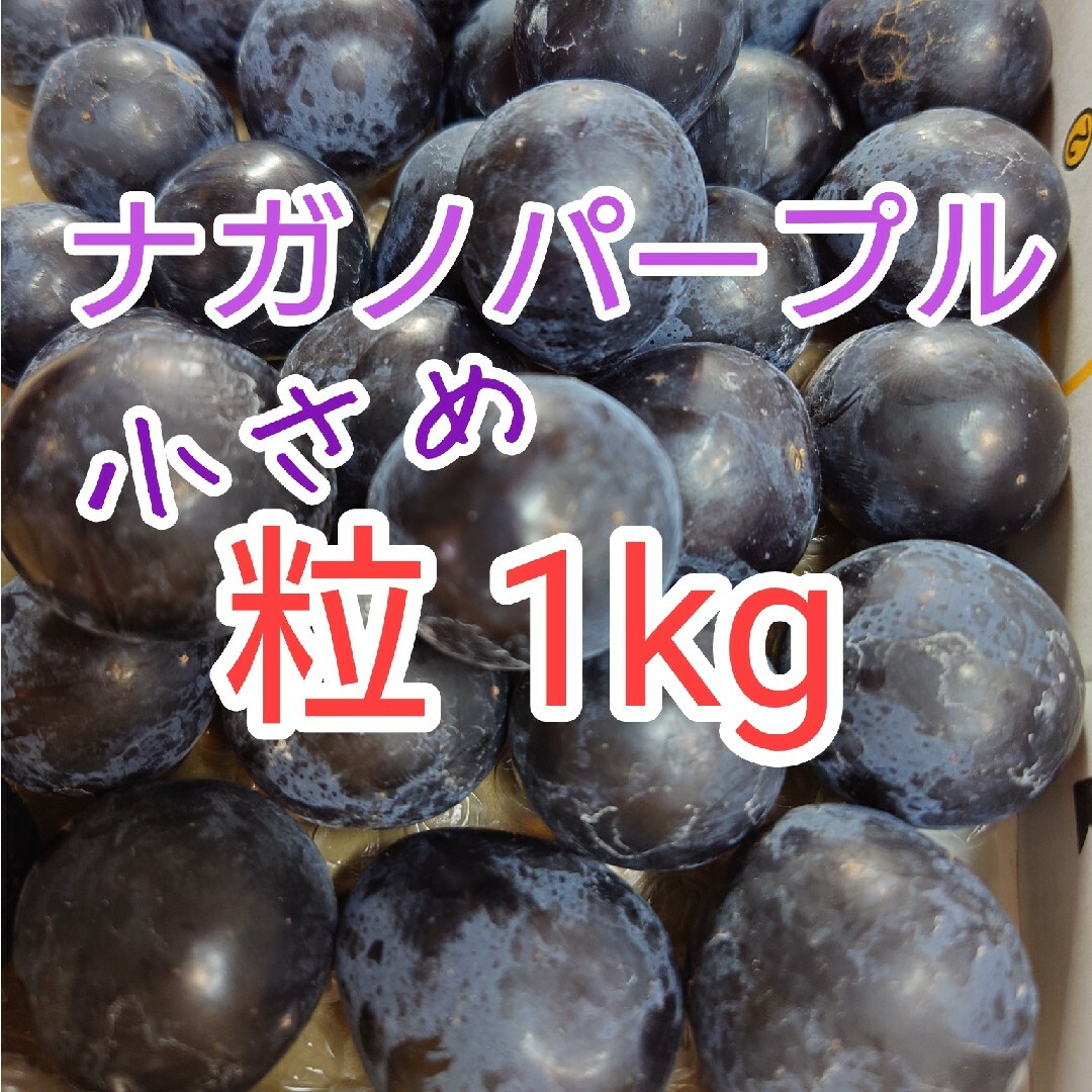 ナガノパープル　小さい粒　箱込み1kg　高級種無しぶどう 食品/飲料/酒の食品(フルーツ)の商品写真