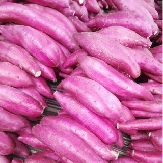 千葉県産　シルクスイート　さつまいも　サツマイモ　サイズおまかせ約5.0㎏(野菜)