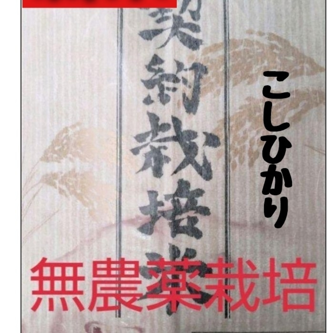 兵庫県丹波産こしひかり無洗米9kg(令和4年産