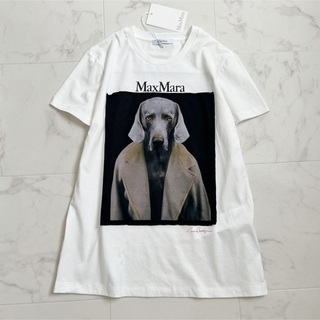 【新品未使用】MAX MARA コットン オーバーサイズ Tシャツ カラー