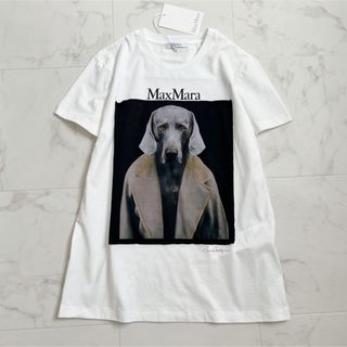 マックスマーラ MAX MARA Tシャツ VALIDO コットン 半袖シャツ クルーネック ショートスリーブ 2023年秋冬新作 2319460339 0006 BIANCO