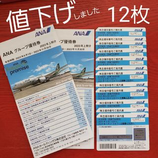 ANA 株主優待券12枚　グループ優待冊子　2冊(航空券)