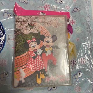 ディズニー　ポストカードホルダー　ミッキー　ミニー　実写(キャラクターグッズ)