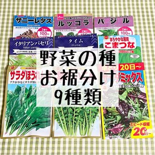 野菜の種 お裾分け 9種類 各20粒＋α(野菜)