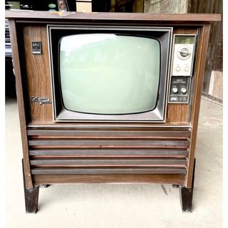 ★値下げ★ ブラウン管テレビ NEC C-20S3