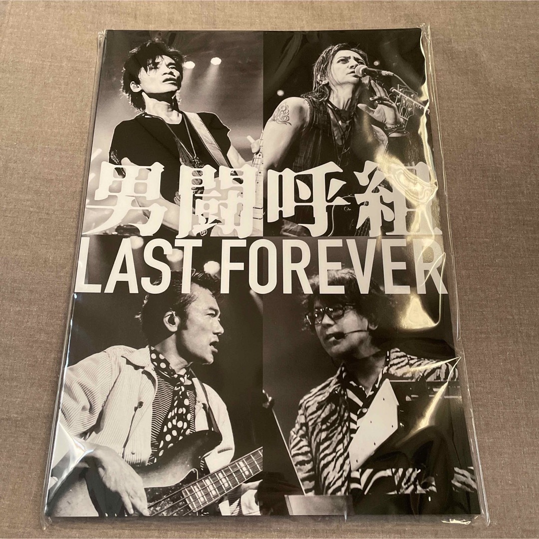 新品☆ 男闘呼組LAST FOREVER ツアーパンフレット LAST FORE