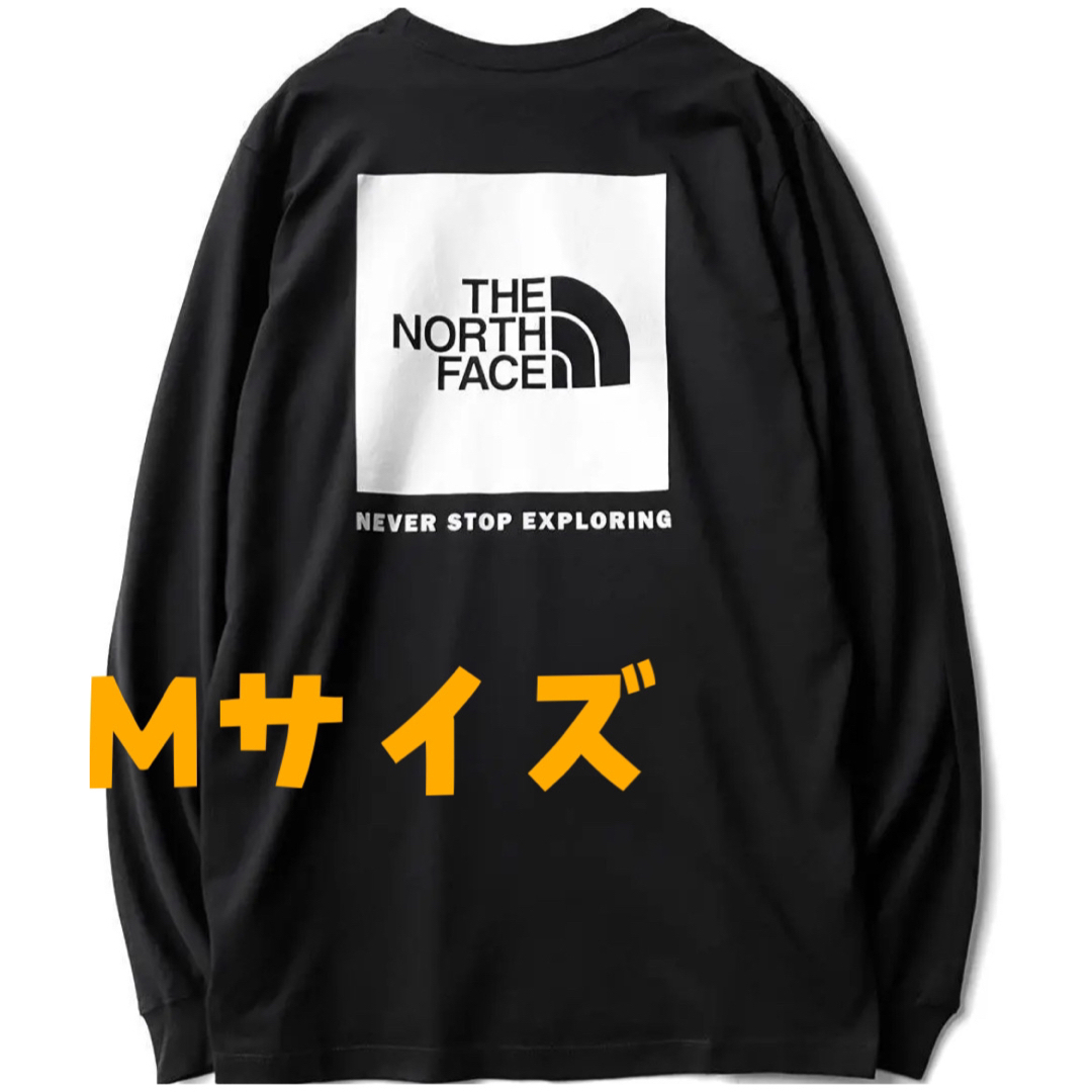 THE NORTH FACE  ロンT   海外Lサイズ