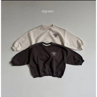 digreen トレーナー　値下げ(Tシャツ/カットソー)