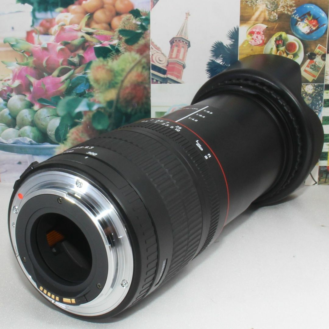 SIGMA(シグマ)の❤️標準から超望遠までこれ１本でOK❤️シグマ 28-300mm キャノン用 スマホ/家電/カメラのカメラ(デジタル一眼)の商品写真