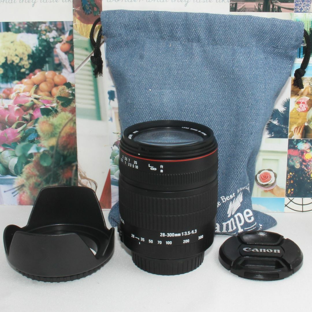 取扱No.1 【美品】シグマ SIGMA 28-300 Canon用 超望遠レンズ | tonky.jp