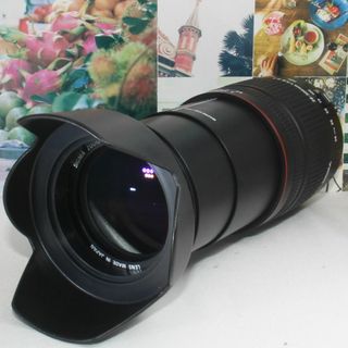 シグマ(SIGMA)の❤️標準から超望遠までこれ１本でOK❤️シグマ 28-300mm キャノン用(デジタル一眼)