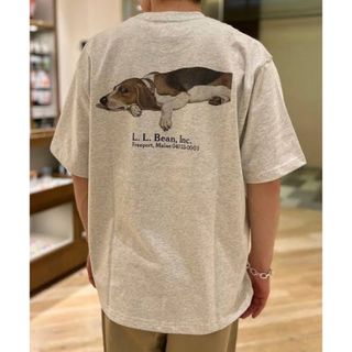 BEAMS BOY別注LLBEAN BEAGLE Tシャツ　犬