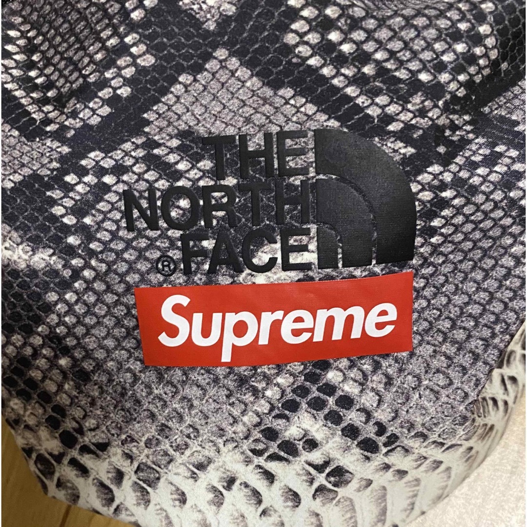 Supreme The North Face Snakeskin  Mサイズ