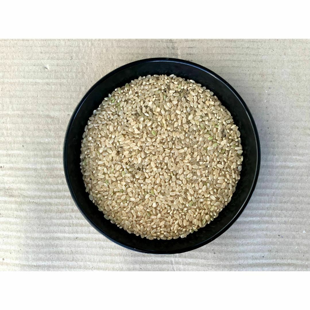令和4年 山形県産 検査一等米 はえぬき 玄米 ３０ｋｇ 精米無料の通販