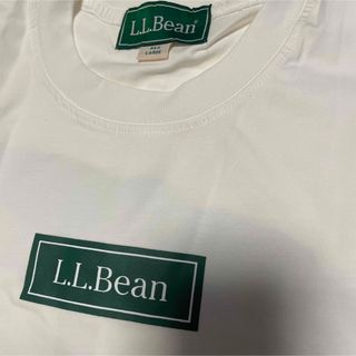 BEAMS BOY別注LLBEAN BEAGLE Tシャツ-eastgate.mk