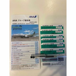 エーエヌエー(ゼンニッポンクウユ)(ANA(全日本空輸))のANA 全日空　株主優待券　株主優待　チケット　6枚(航空券)