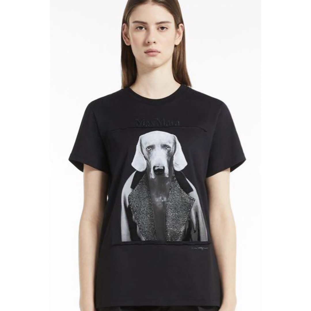 maxmara マックスマーラ ピュアコットンジャージーTシャツ Sサイズ maxmara マックスマーラ ピュアコットンジャージーTシャツ Sサイズ