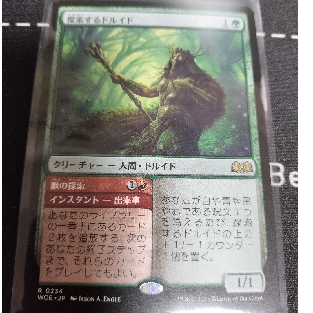 マジック：ザ・ギャザリング(マジックザギャザリング)の［掲載期限あり］MTG (日)探索するドルイド 【WOE】No.234 エンタメ/ホビーのトレーディングカード(シングルカード)の商品写真