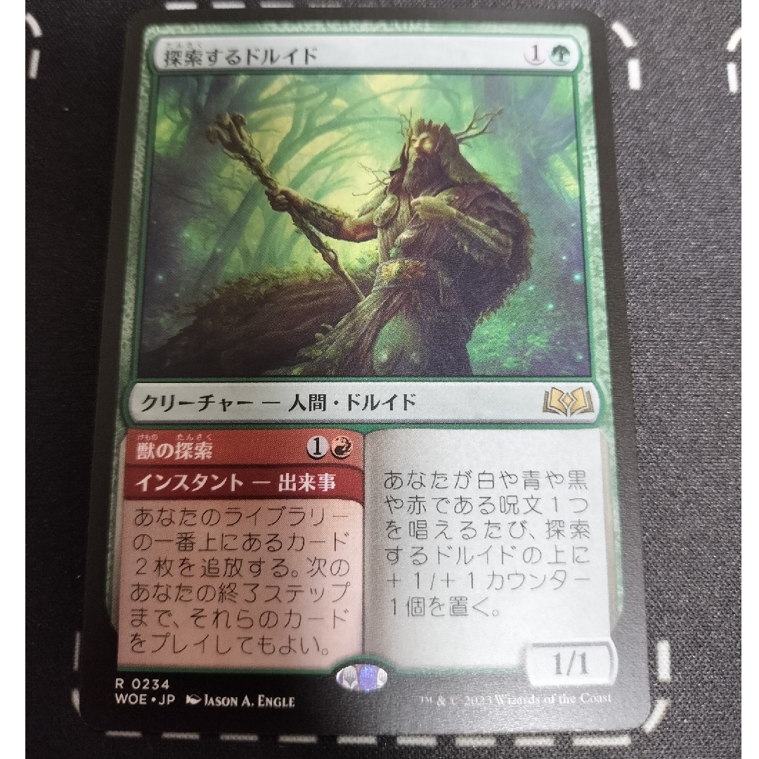 MTG 探索するドルイド 4枚セット(foil1、非foil3) - マジック：ザ