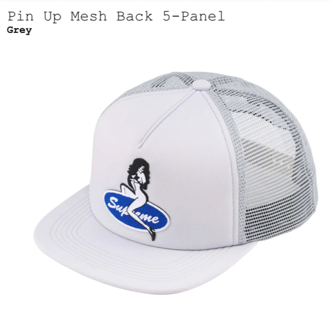 Supreme Pin Up Mesh Back 5-Panel　新品未使用