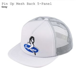 シュプリーム(Supreme)のSupreme Pin Up Mesh Back 5-Panel  グレー 新品(キャップ)