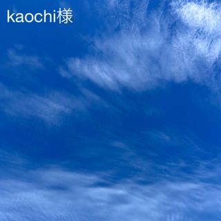 kaochi様専用♡(はんこ)