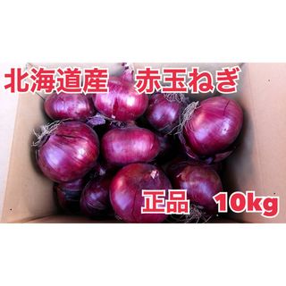 北海道産　赤玉ねぎ　正品10kg(野菜)