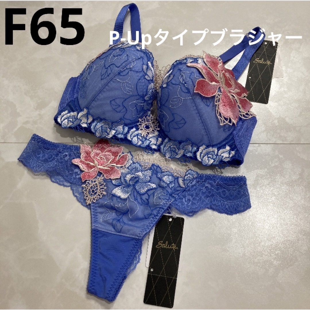 サルート　76G P-Upタイプブラジャー　F65 ソング　M LGなみへ76G