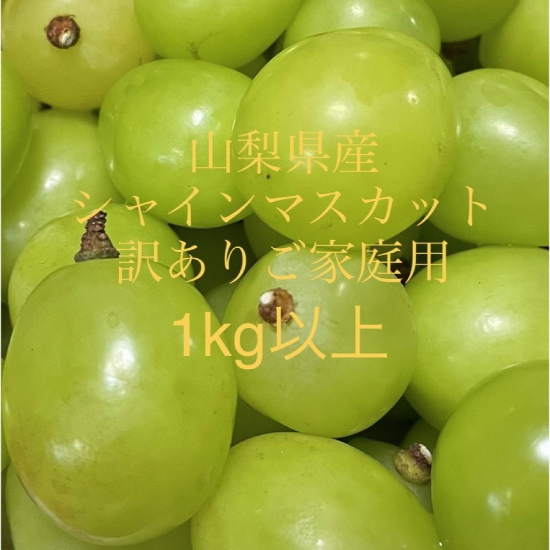 シャインマスカット 自宅用 山梨県から産地直送