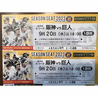 阪神 vs 巨人6月19日土曜日 レフト外野シートペア