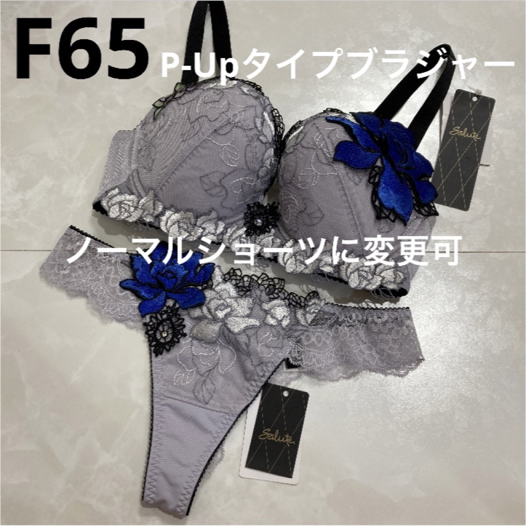 サルート 76G 空中庭園 P-Upタイプブラジャー F65 ソング M GY 翻译此