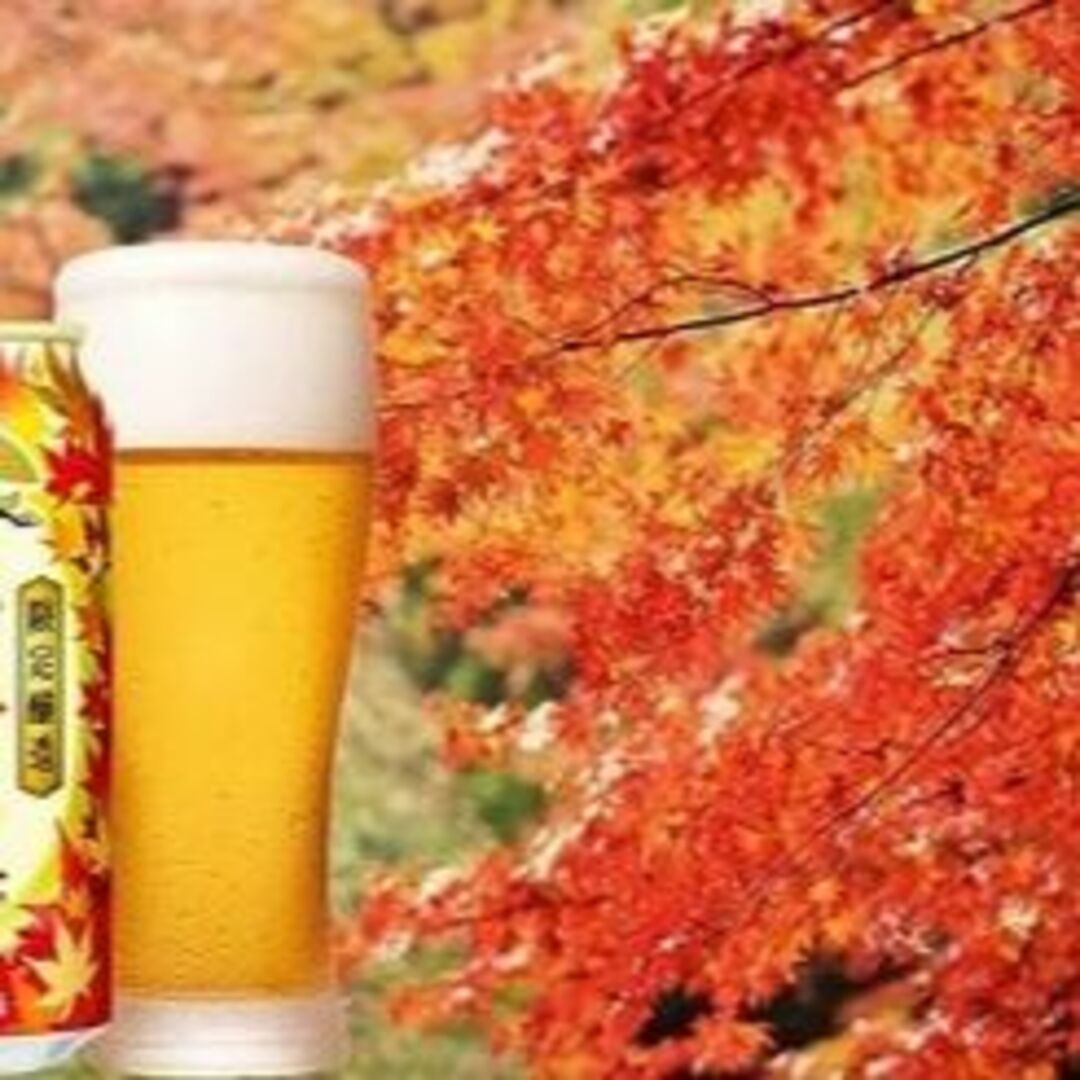 aa44》キリン秋味＆一番搾り350/500ml/各24缶/2箱セット