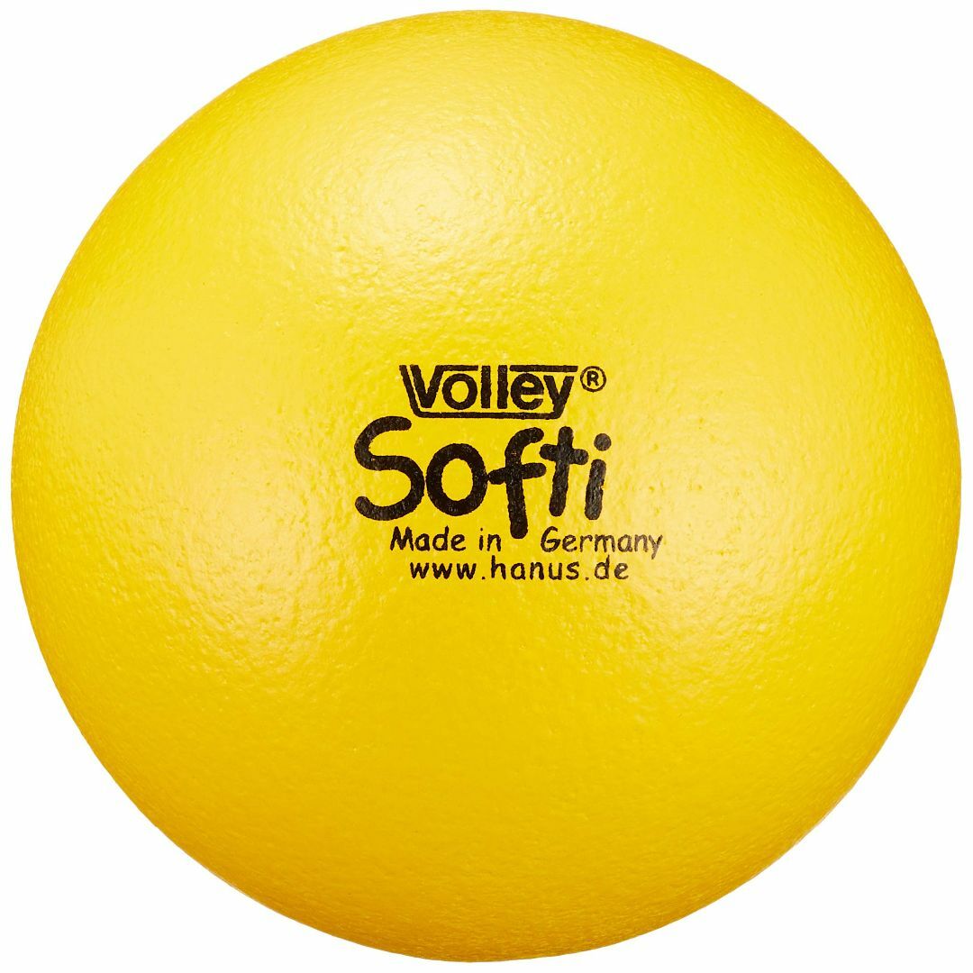 【在庫セール】ボーネルンド ボリー ( Volley ) しわくちゃボール 15