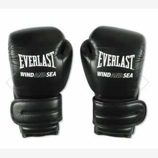 ウィンダンシー(WIND AND SEA)の春に散る X WDS X EVERLAST BOXING GLOVE(ボクシング)