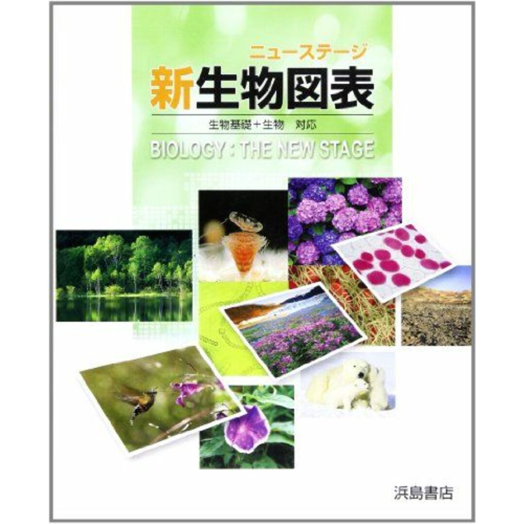 ニューステージ新生物図表 エンタメ/ホビーの本(語学/参考書)の商品写真