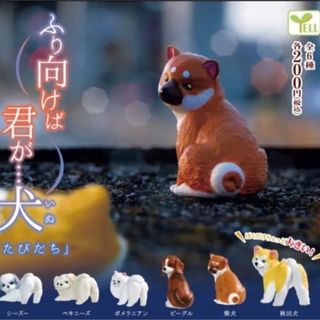 ふり向けば君が犬(犬)