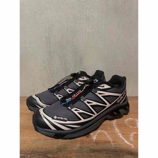 サロモン(SALOMON)の【パンダ様専用】SALOMON XT-6 (スニーカー)