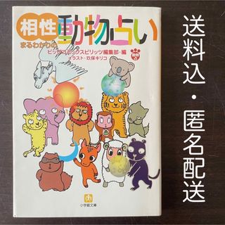 ショウガクカン(小学館)の相性まるわかりの動物占い ビッグスピリッツ編集部 玖保キリコ 小学館文庫(趣味/スポーツ/実用)