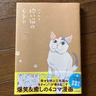 拾い猫のモチャ　値下げ(その他)