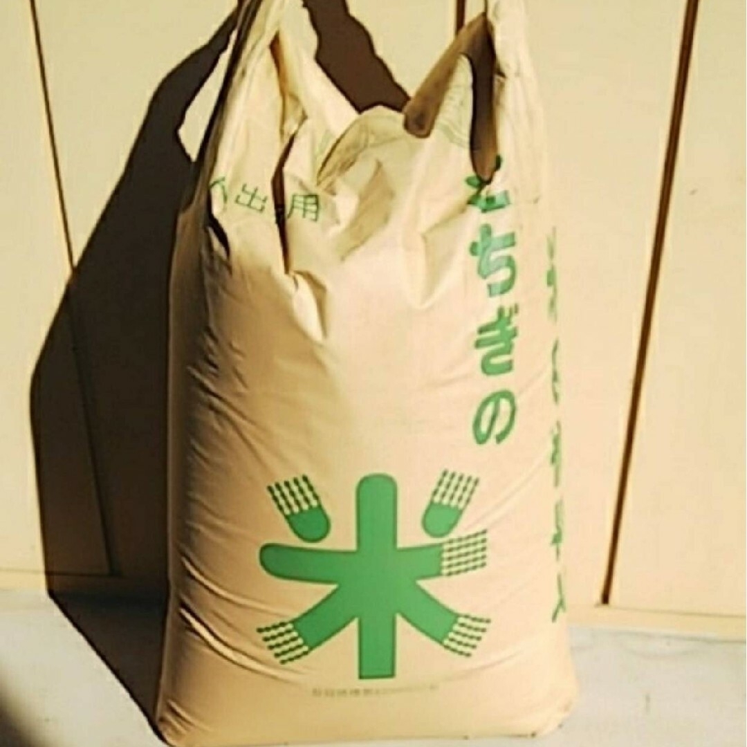 人気おにぎり店に出荷してます 新米コシヒカリ 栃木県 玄米30㎏ - 米/穀物