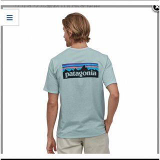 パタゴニア(patagonia)のパタゴニア　P-6ロゴ　Tシャツ(Tシャツ/カットソー(半袖/袖なし))