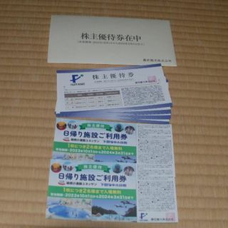 藤田観光　株主優待　日帰り施設ご利用券2枚ほか（ラクマパック配送）(遊園地/テーマパーク)