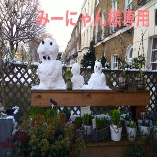 みーにゃん様専用ページ(ネックレス)
