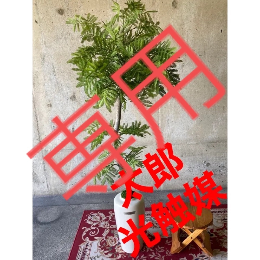 光触媒 人工観葉植物 ウォールグリーン フェイクグリーン ... 光触媒 人工観葉植物 ウォールグリーン フェイクグリーン エバーフレッシュ130
