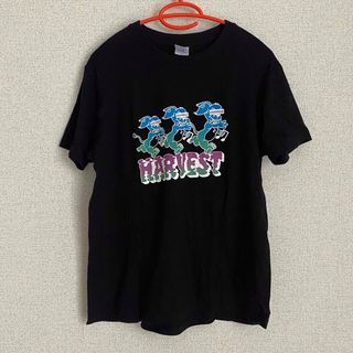 バニラズ　Tシャツ　M size(ミュージシャン)