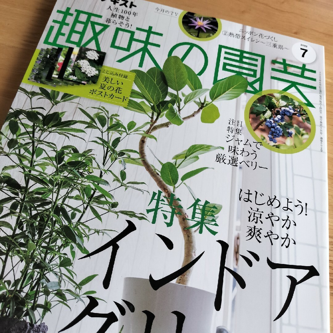 趣味の園芸 エンタメ/ホビーの雑誌(その他)の商品写真