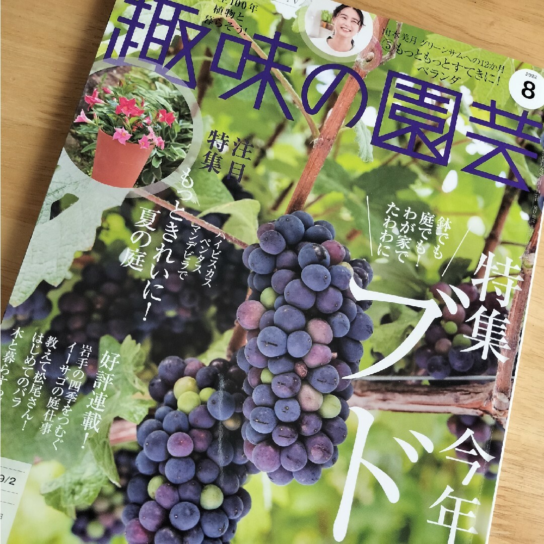 趣味の園芸 エンタメ/ホビーの雑誌(その他)の商品写真