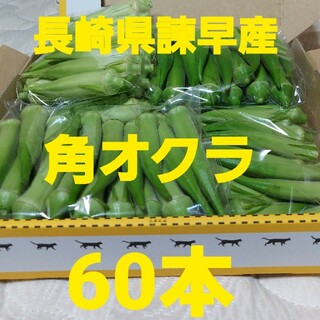長崎県諫早産角オクラ60本(野菜)